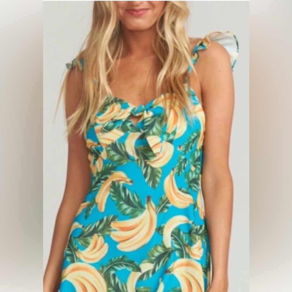 Show Me Your Mumu Brigette Mini Dress